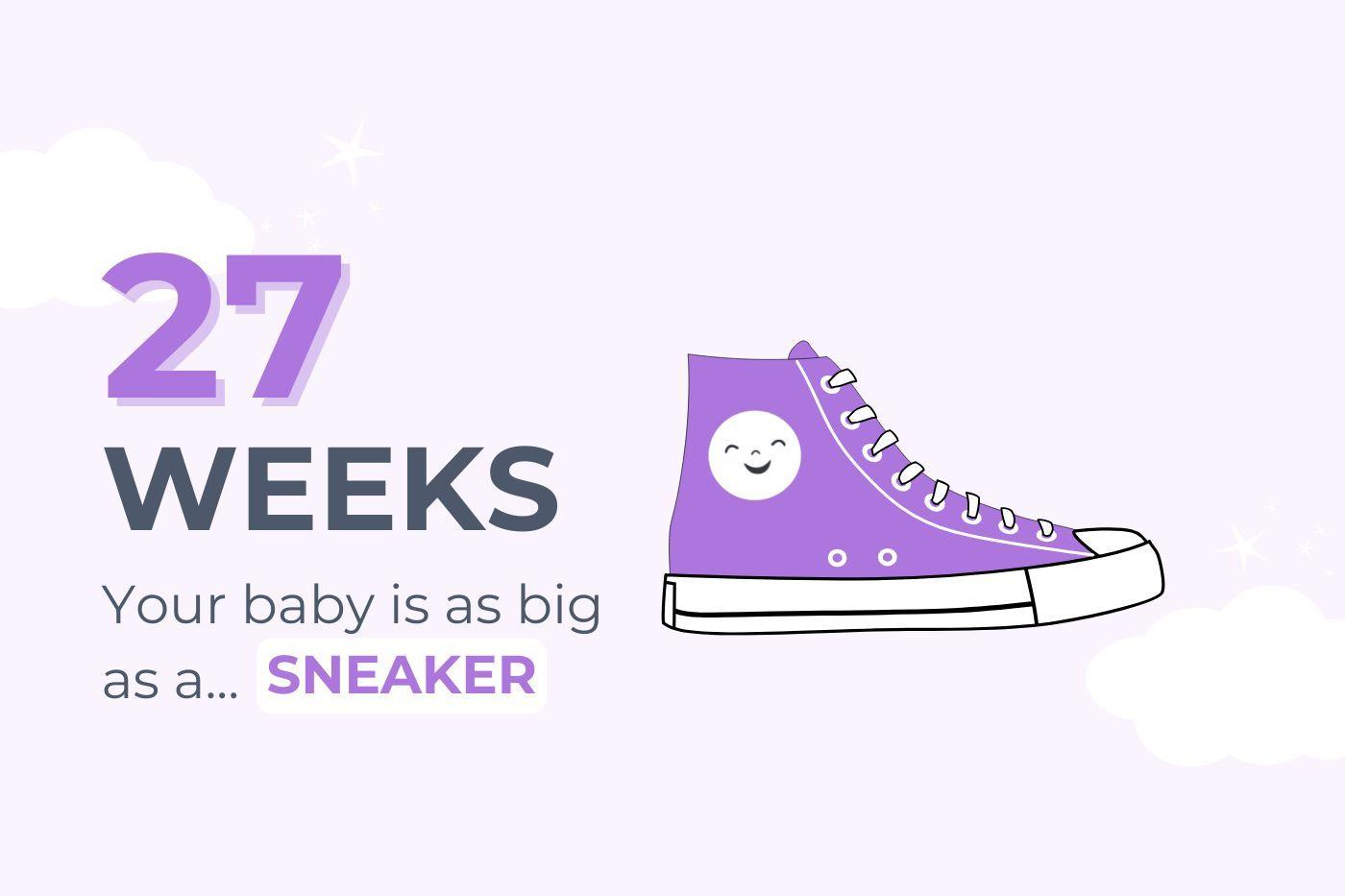 27-weeks-pregnant-your-baby-is-as-big-as-a-sneaker