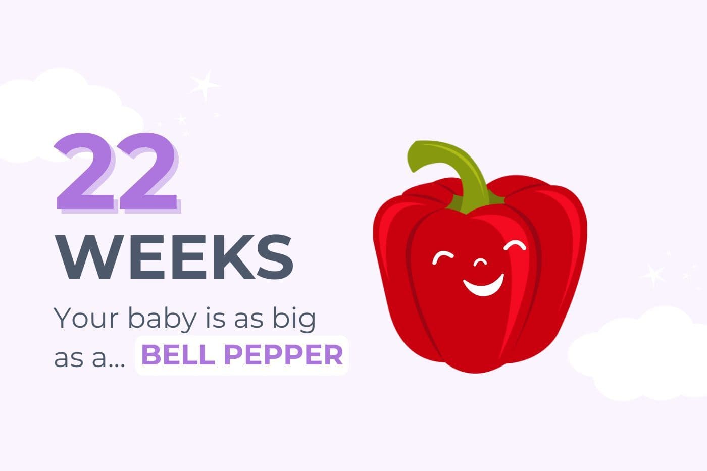 22 weeks pregnant your baby is as big as a bell pepper