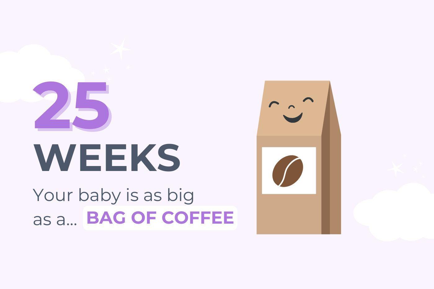 25-weeks-pregnant