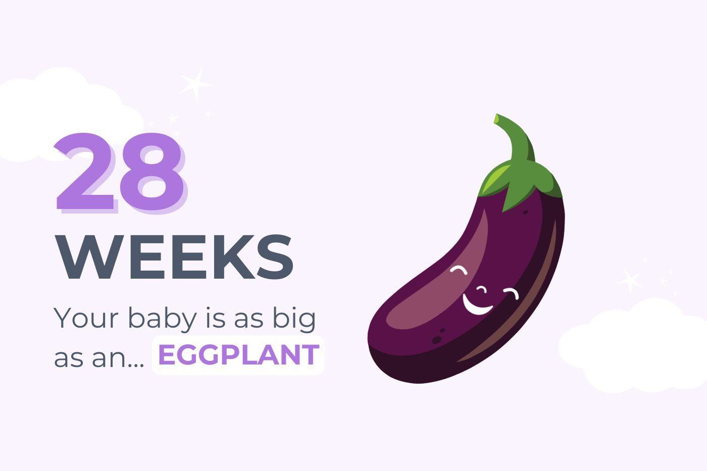 28 weeks pregnant